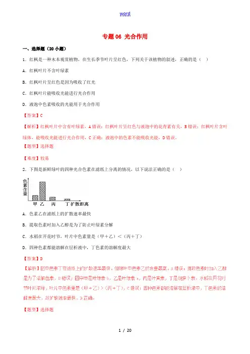 高考生物冲刺专题卷 专题06 光合作用(含解析)-人教版高三全册生物试题