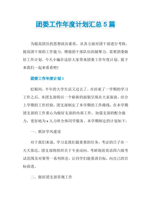 团委工作年度计划汇总5篇