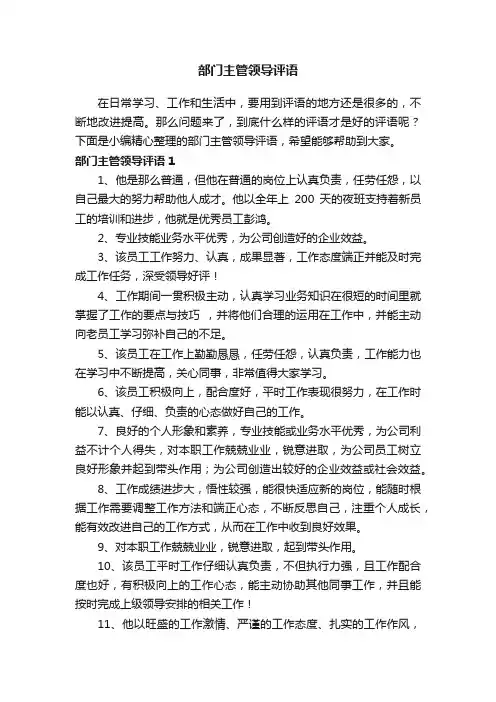部门主管领导评语