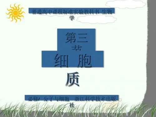 细胞质 PPT课件 浙教版