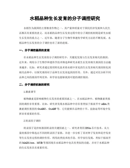 水稻品种生长发育的分子调控研究