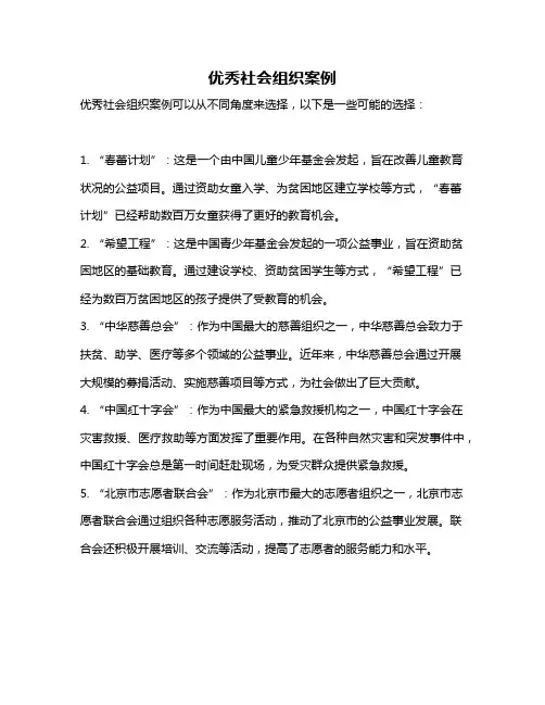 优秀社会组织案例