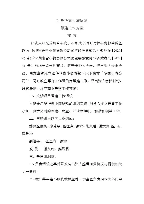 小额贷款筹建工作方案