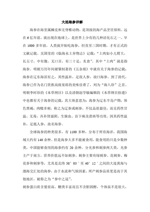大连海参详解