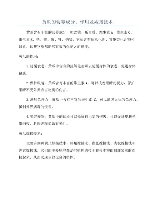 黄瓜的营养成分、作用及嫁接技术