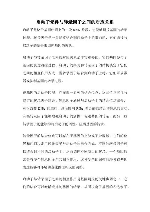 启动子元件与转录因子之间的对应关系
