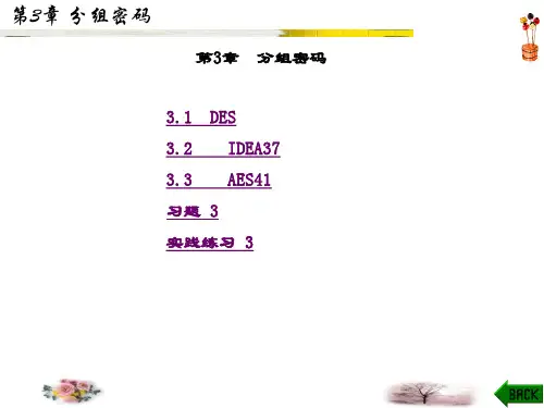 精品课件-现代密码学原理与实践-第3章