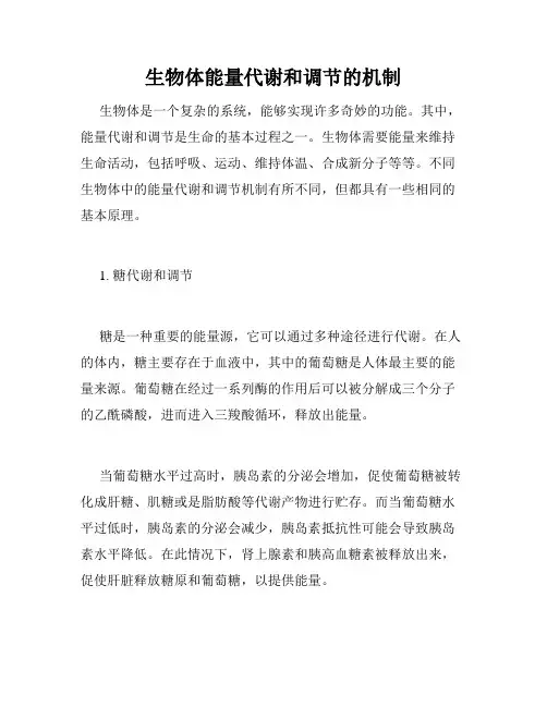 生物体能量代谢和调节的机制
