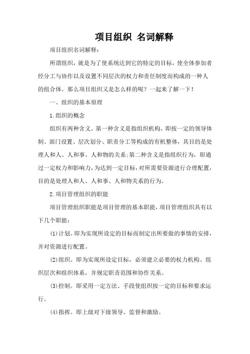 项目组织 名词解释