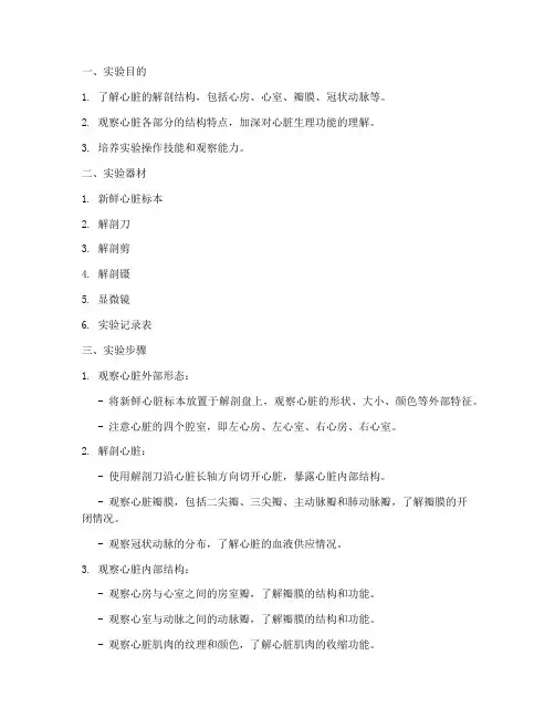 观察心脏标本实验报告