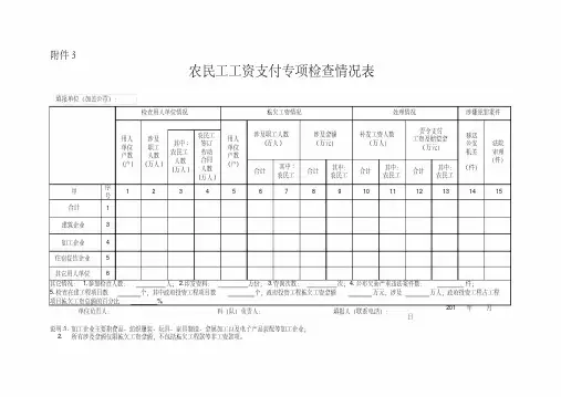 农民工工资支付专项检查情况表