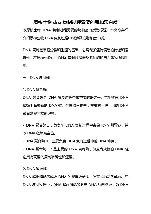 原核生物dna复制过程需要的酶和蛋白质