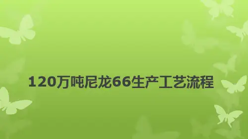 120万吨尼龙66生产工艺流程课件