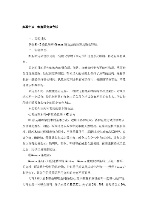 细胞固定染色法实验原理及步骤