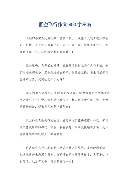 低空飞行作文800字左右