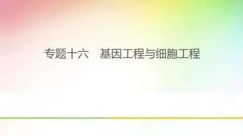 高中 高考生物专题复习 基因工程与细胞工程