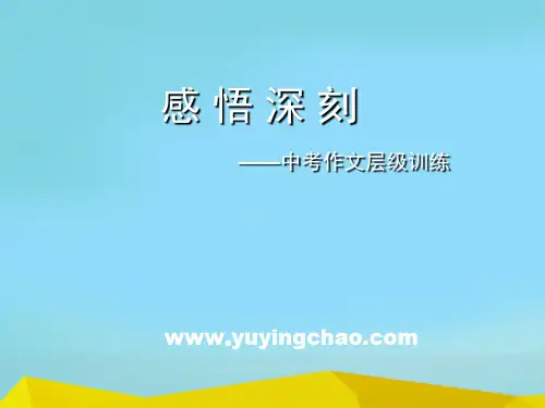 初中作文指导：感悟深刻——中考作文层级训练ppt
