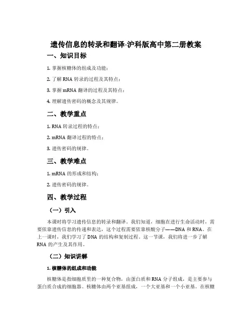 遗传信息的转录和翻译-沪科版高中第二册教案