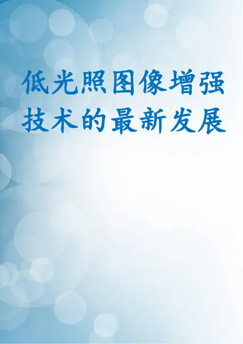 低光照图像增强技术的最新发展