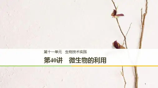 高考生物一轮复习 第11单元 生物技术实践 第40讲 微生物的利用课件.pptx