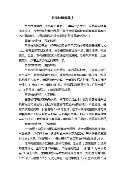 怎样种植番荔枝