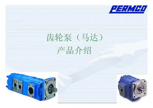 齿轮泵(马达)产品介绍(滚动轴承)
