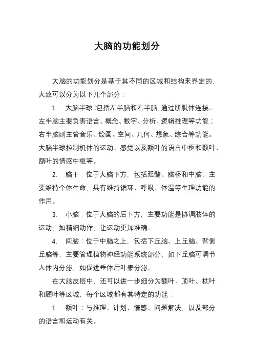 大脑的功能划分