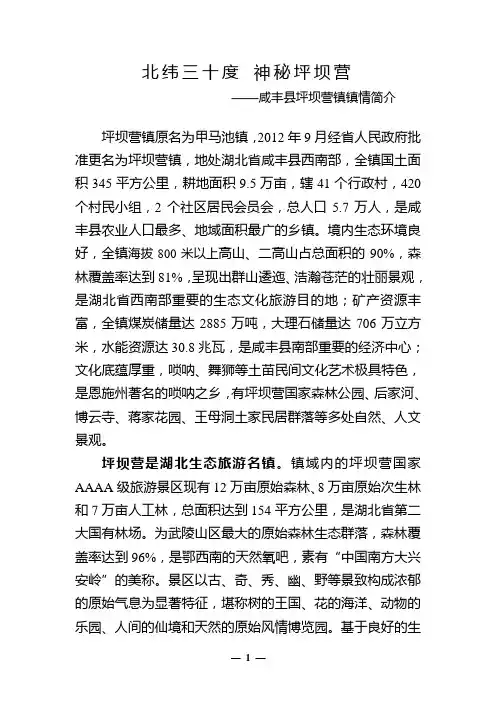 北纬三十度   神秘坪坝营