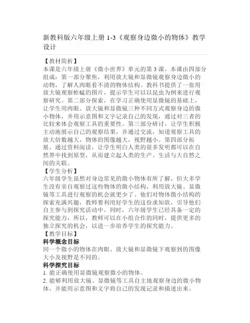 新教科版六年级上册13《观察身边微小的物体》教学设计
