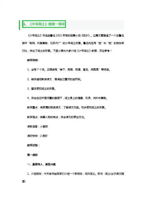 《少年闰土》教案一等奖3篇