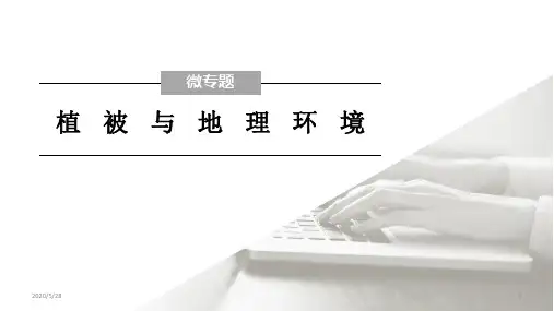 高中地理 微专题 植被与地理环境(共12页ppt)