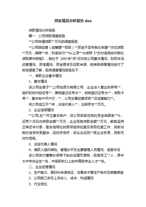 贷款情况分析报告doc