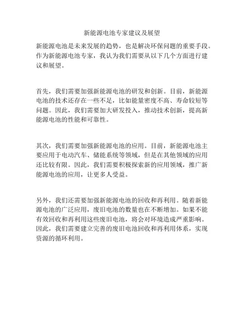 新能源电池专家建议及展望