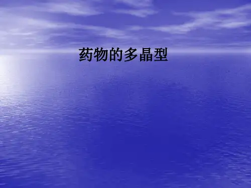 药物的多晶型ppt课件