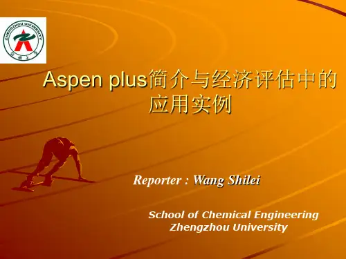 Aspenplus简介与经济评估中的应用实例解读