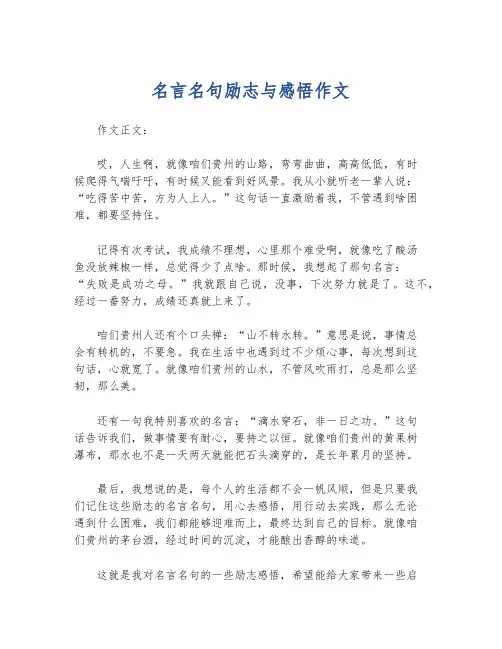 名言名句励志与感悟作文