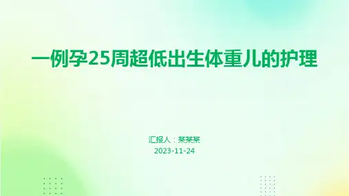 一例孕25周超低出生体重儿的护理案例分享讲课