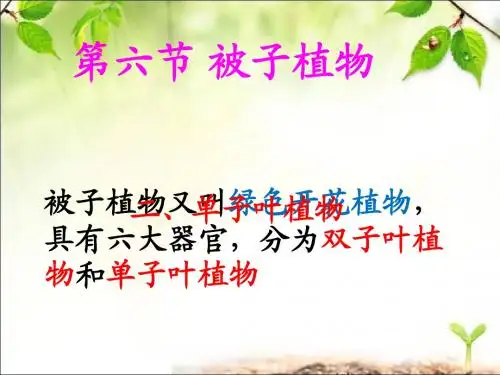 被子植物,单子叶  袁
