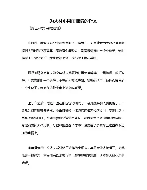 为大材小用而惋惜的作文