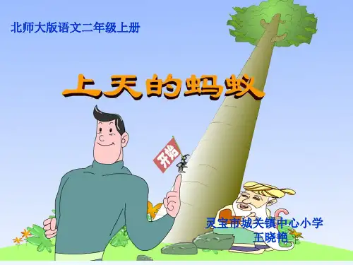 上天的蚂蚁课件