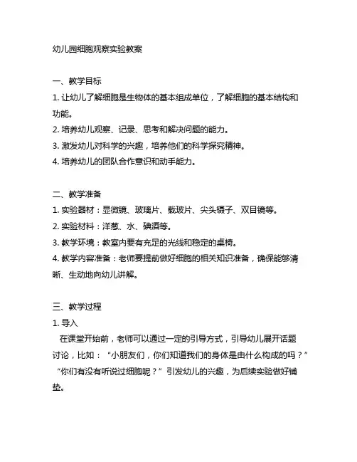 幼儿园细胞观察实验教案 幼儿园科学教案