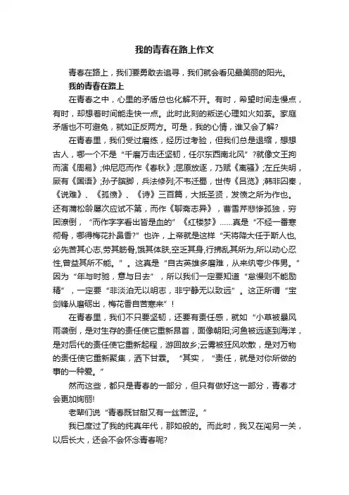 我的青春在路上作文