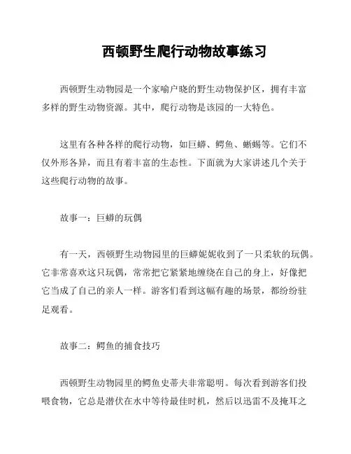 西顿野生爬行动物故事练习