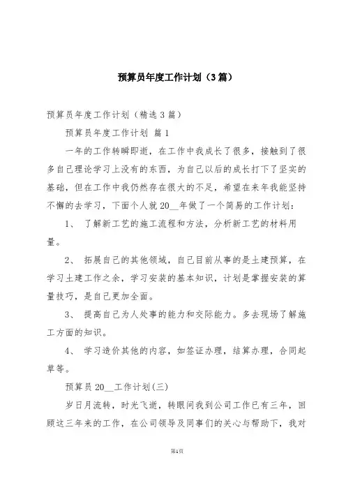 预算员年度工作计划(3篇)