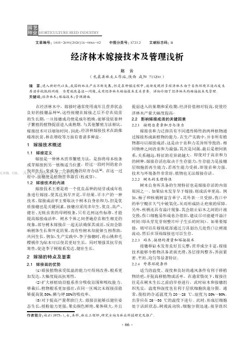 经济林木嫁接技术及管理浅析