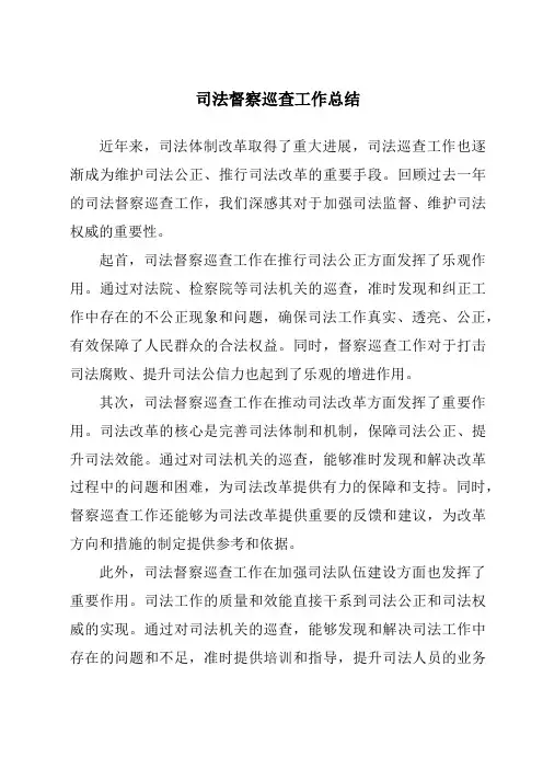 司法督察巡查工作总结