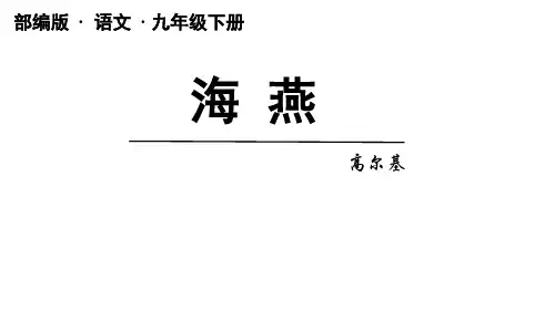 九年级语文下册《海燕》课件