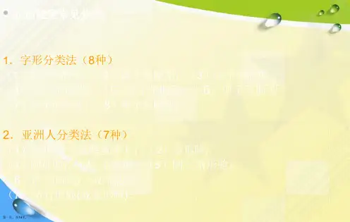 脸型分类图示