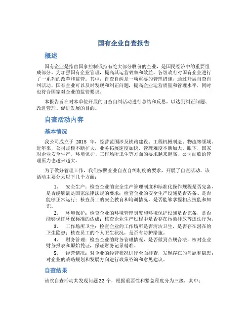 国有企业自查报告