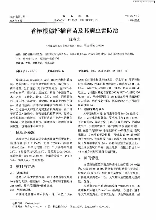 香椿根穗扦插育苗及其病虫害防治